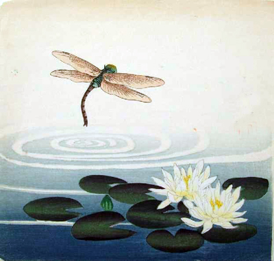 мальчик и стрекоза