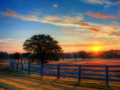 Притча: Не дай украсть свою мечту  