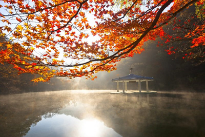 Суфийская притча о счастье